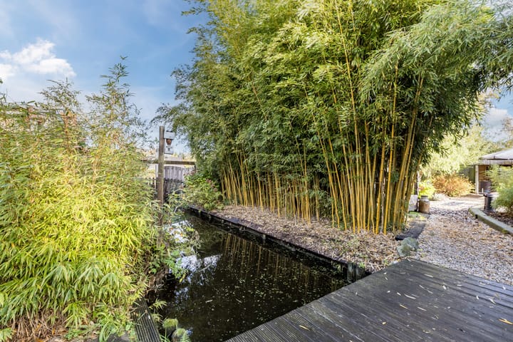 Photo 41 of Middel 78