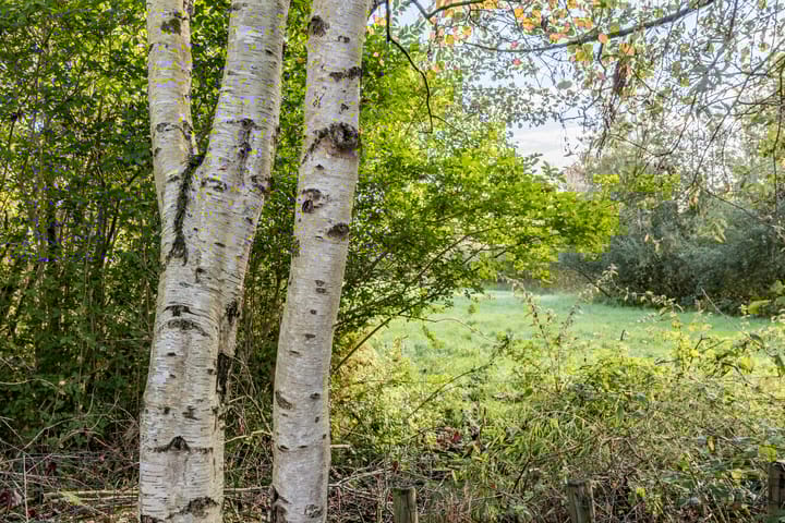 Photo 53 of Middel 78