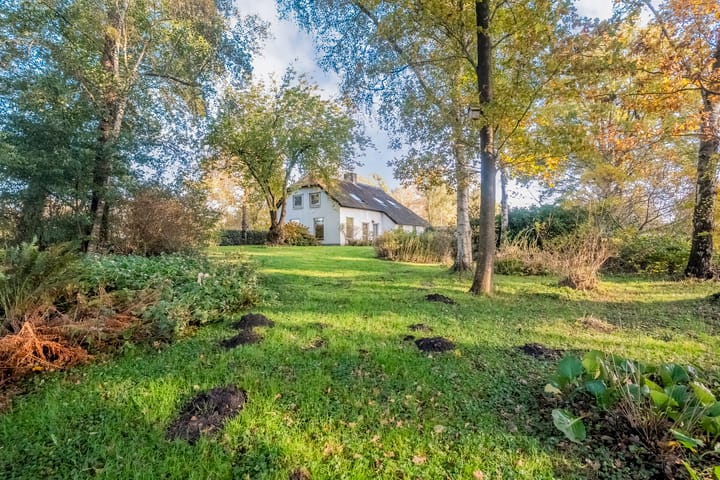 Photo 55 of Weerwilleweg 34