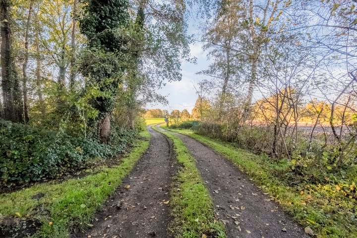 Photo 58 of Weerwilleweg 34