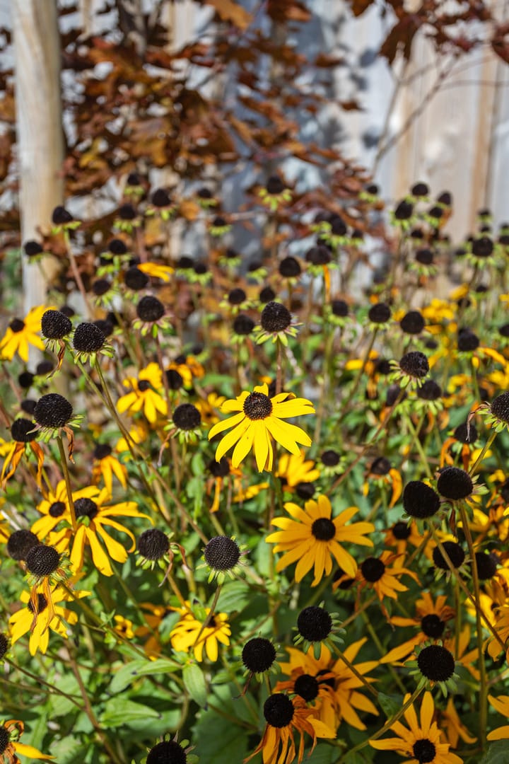 Foto 36 van Rolderbrink 247