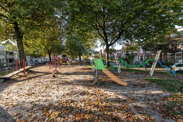 Foto 35 van Reitzstraat 113