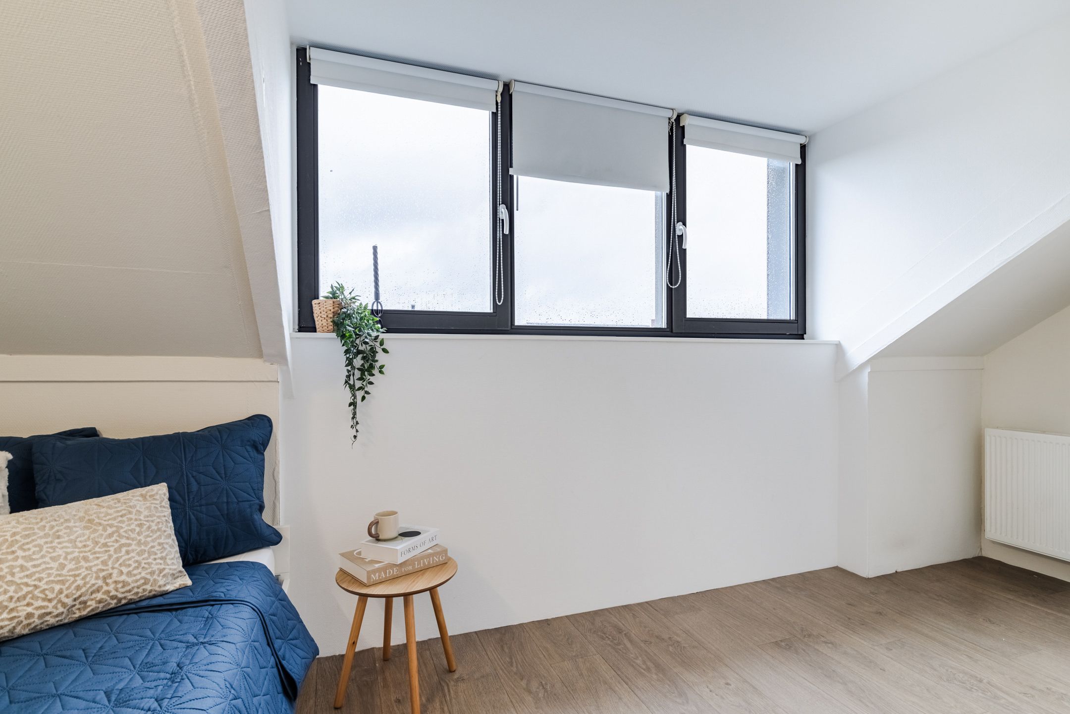 Foto 42 van Van den Broekstraat 36