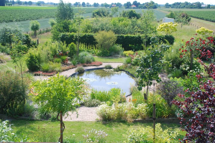 Foto 5 van Westdijk 6