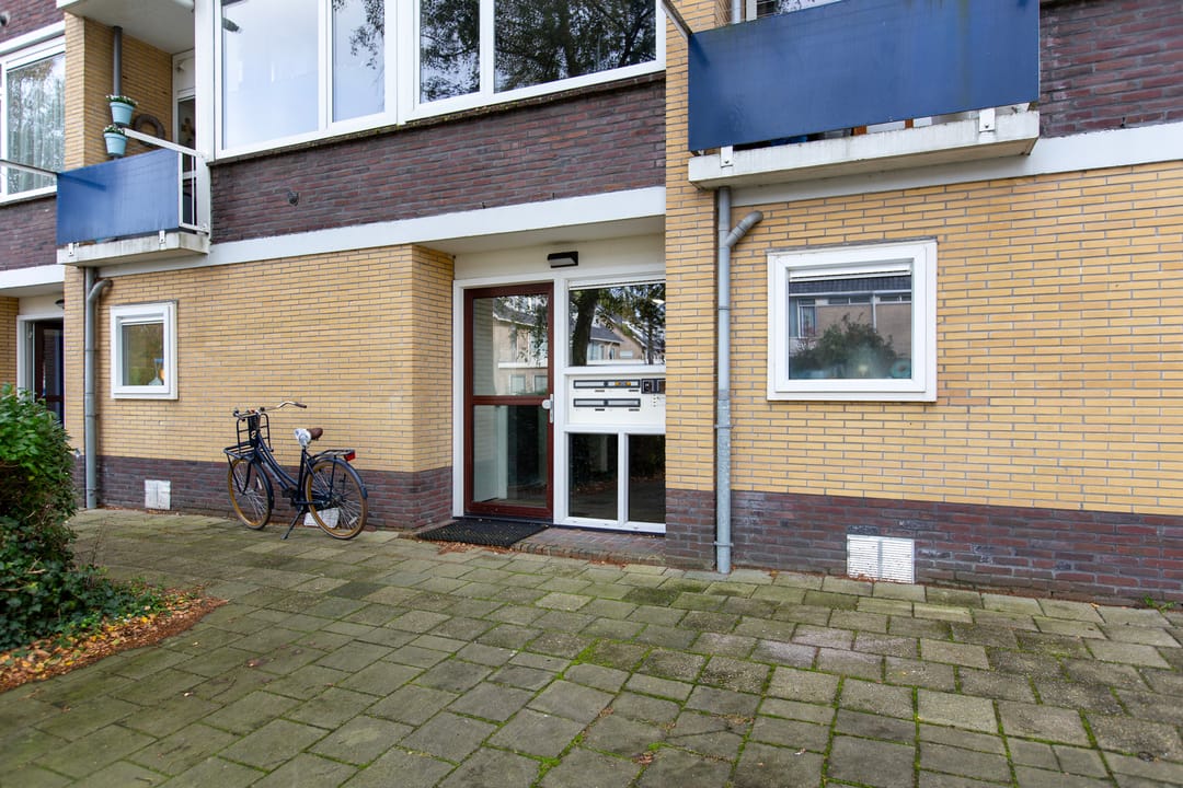 Foto 2 van Roerdompstraat 60