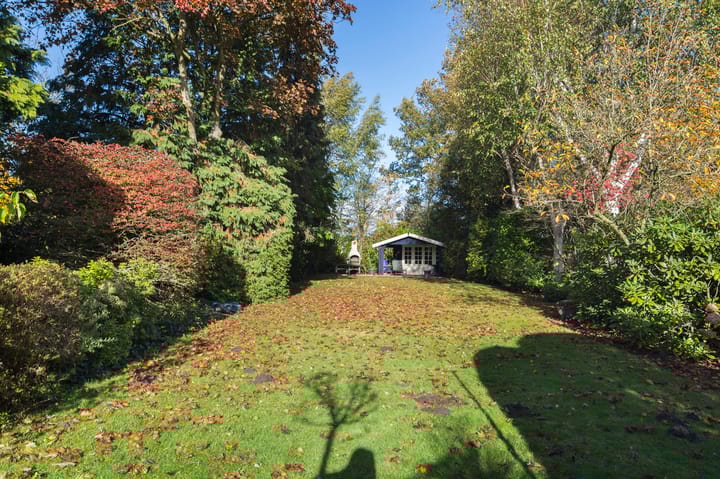 Photo 31 of Buijenstraat 19-A