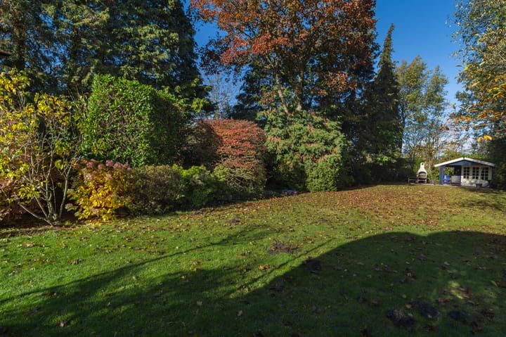 Photo 33 of Buijenstraat 19-A