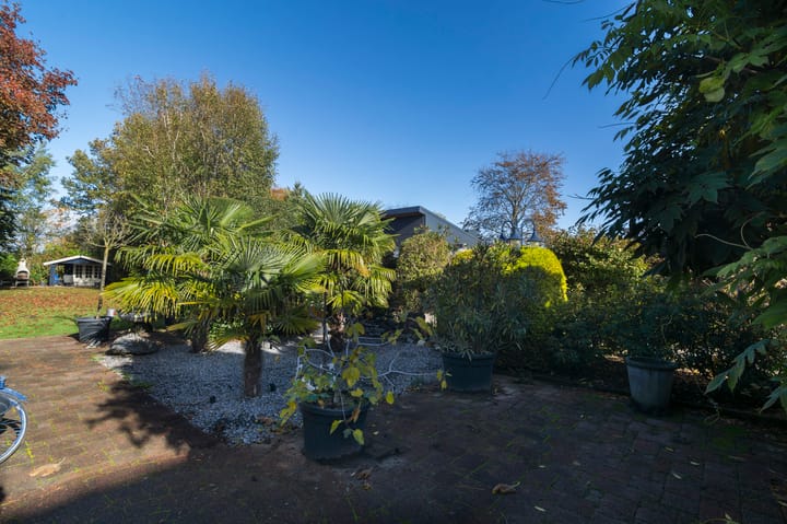 Photo 34 of Buijenstraat 19-A