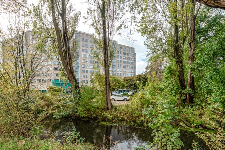 Foto 1 van Forellendaal 892