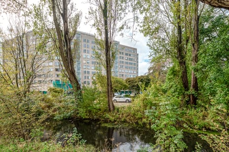 Forellendaal thumbnail