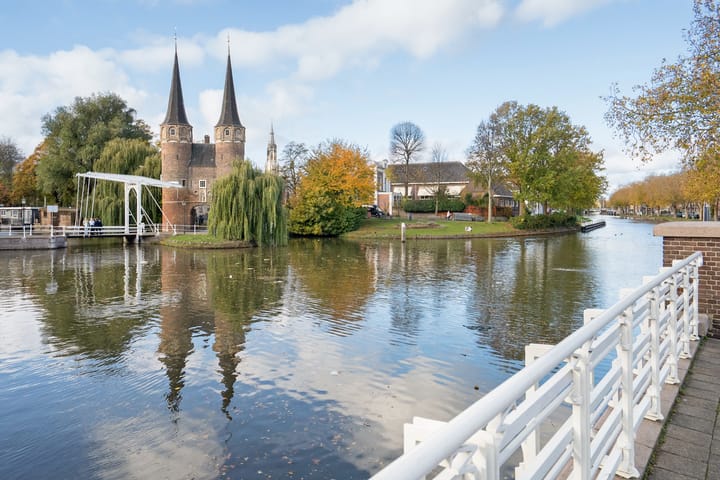 Photo 41 of Delfgauwseweg 61