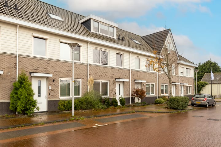 Foto 32 van Caesar 8