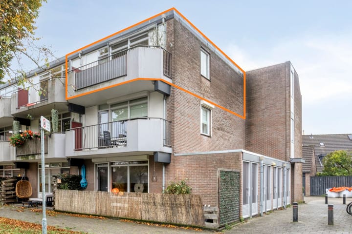 Hortensia 18 main image