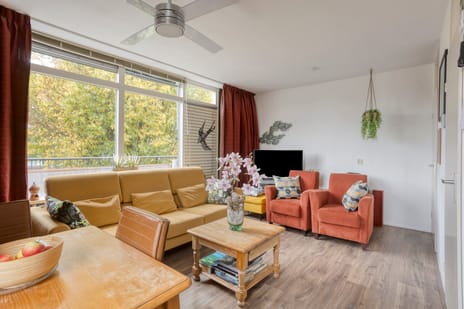 Hortensia 18 secondary image