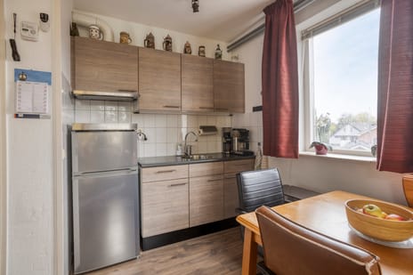 Hortensia 18 tertiary image