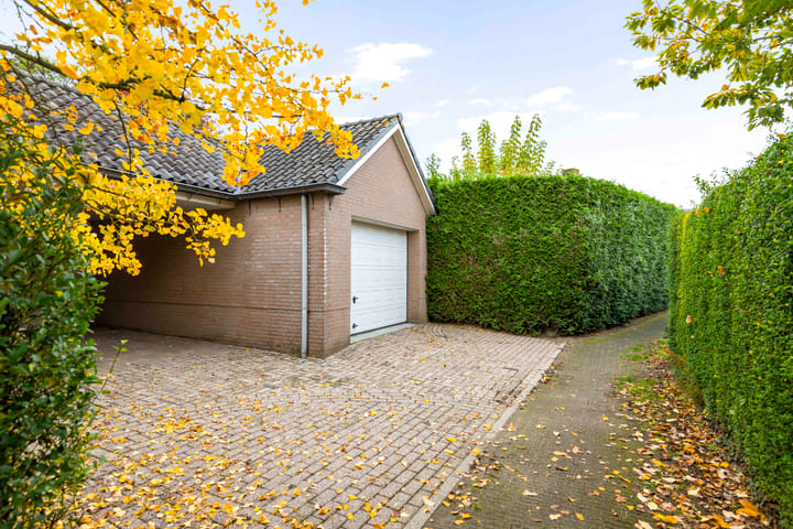 Photo 4 of Burgemeester Bloemersstraat 59