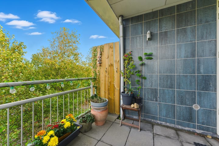 Foto 25 van Nagelkruidstraat 68