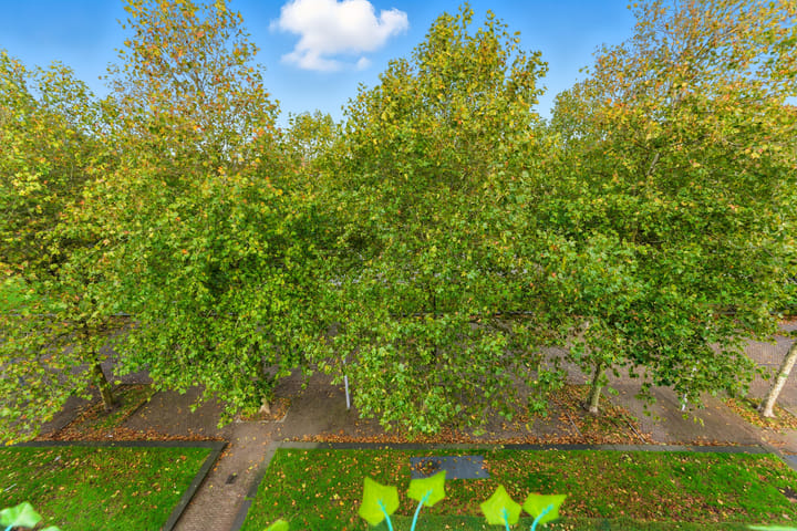 Foto 26 van Nagelkruidstraat 68