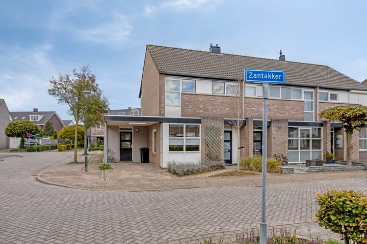 Zantakker 1 main image