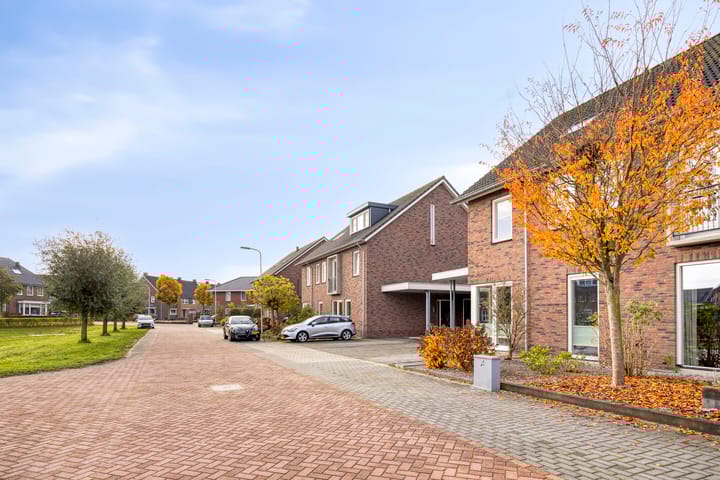 Foto 3 van Koolzaadakker 9