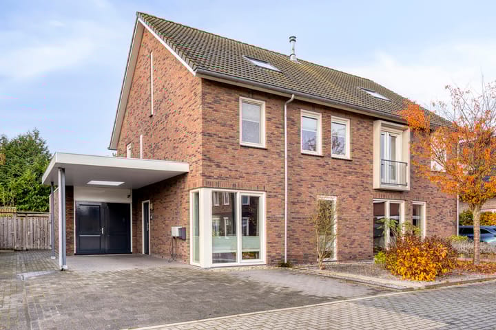 Foto 4 van Koolzaadakker 9