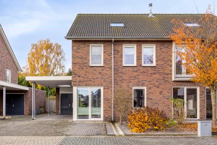 Foto 5 van Koolzaadakker 9