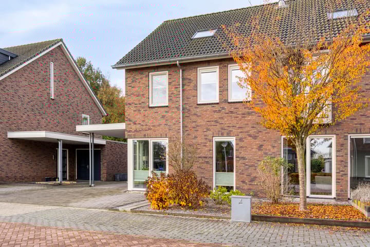 Foto 6 van Koolzaadakker 9