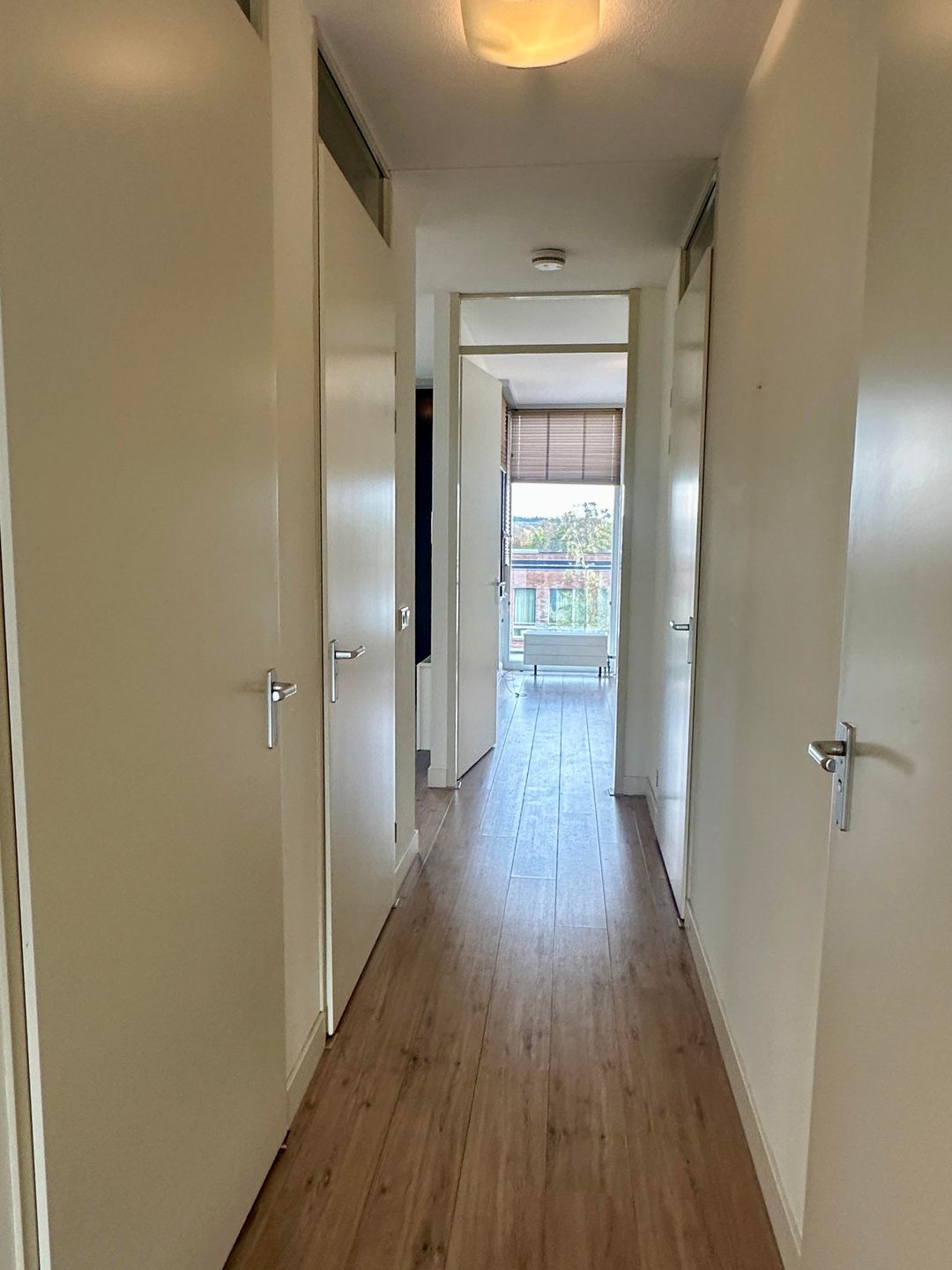 Photo 23 of Buys Ballotstraat 47