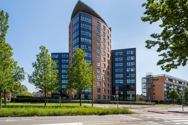 Peter van Anrooylaan 167