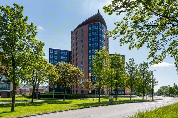 Photo 46 of Peter van Anrooylaan 167