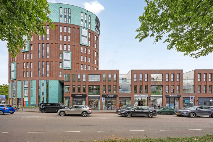 Pastoor Spieringsstraat 225