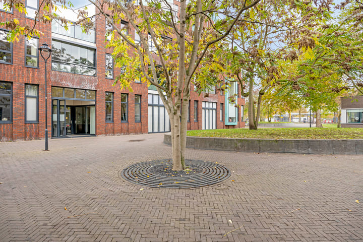 Photo 30 of Pastoor Spieringsstraat 225