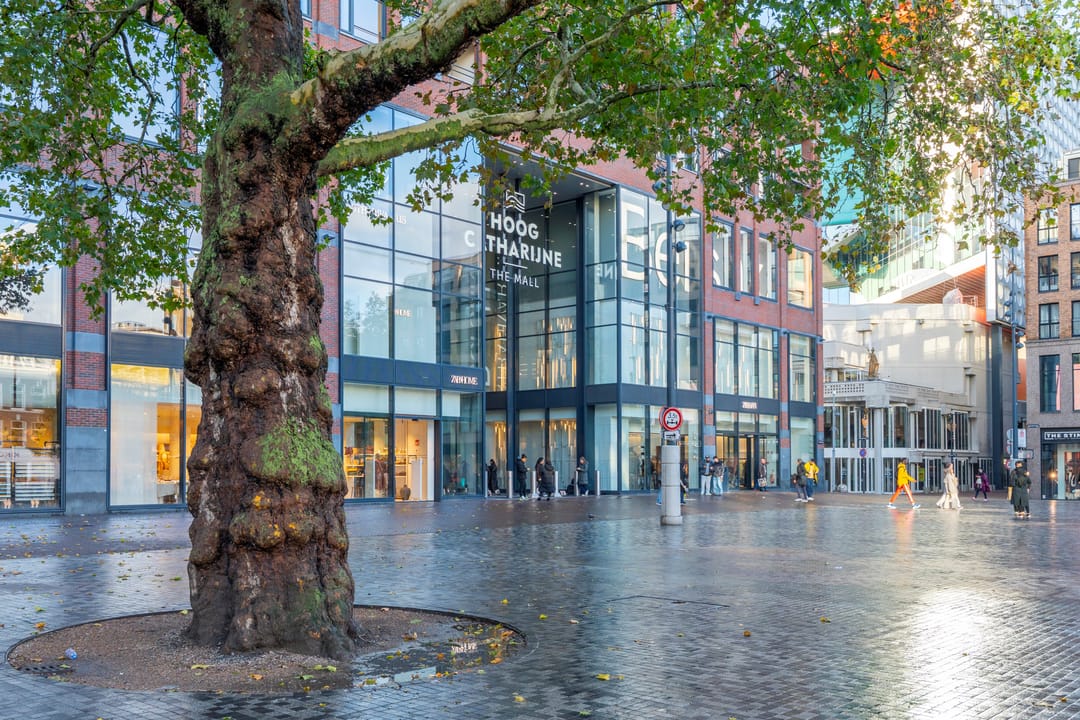 Foto 32 van Achter Clarenburg 53