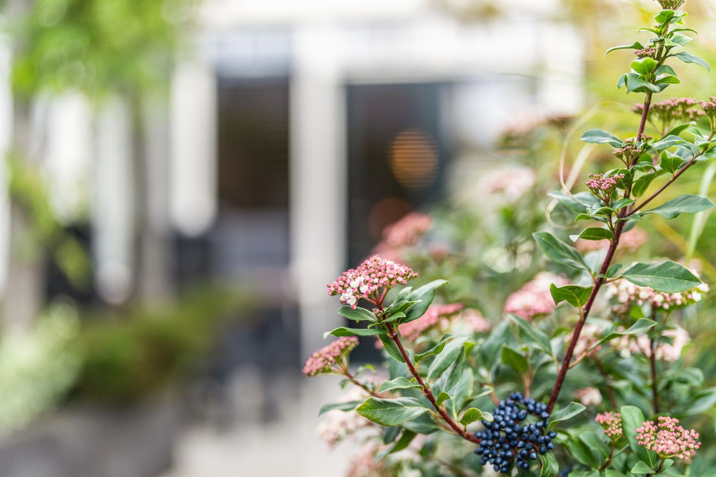 Foto 35 van Waterlandse Hof 1