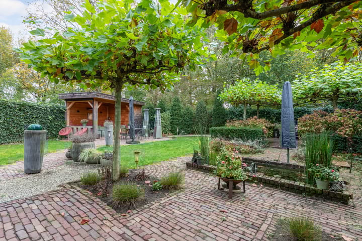 Foto 2 van Buizerd 116