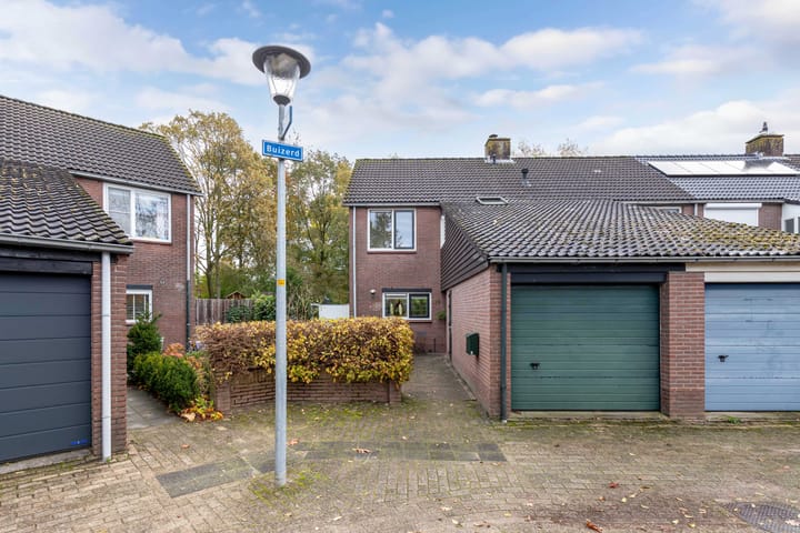 Foto 4 van Buizerd 116