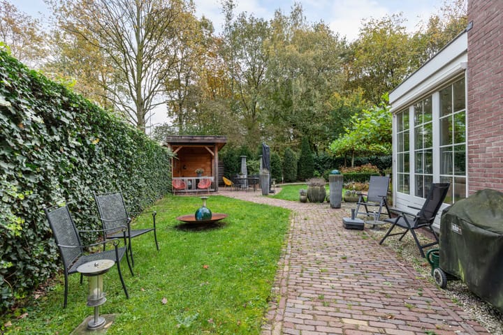 Foto 20 van Buizerd 116