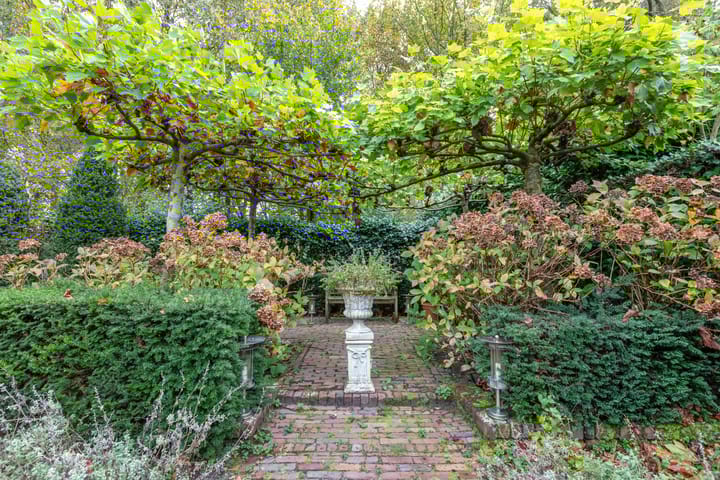 Foto 25 van Buizerd 116