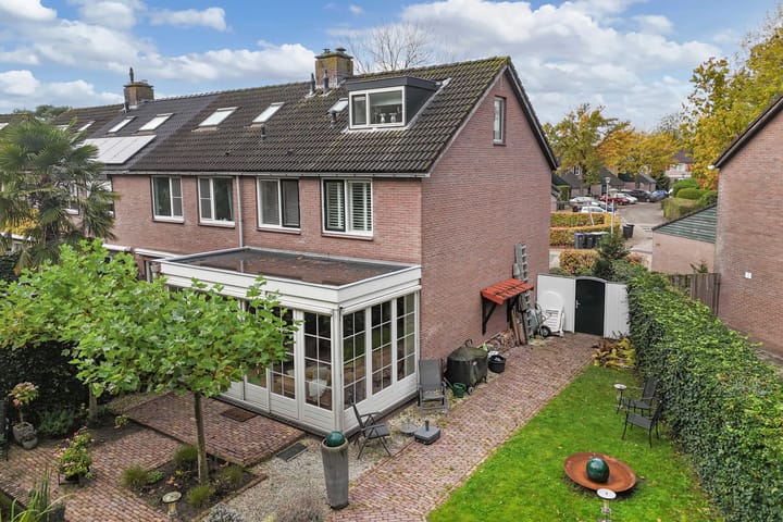 Foto 26 van Buizerd 116