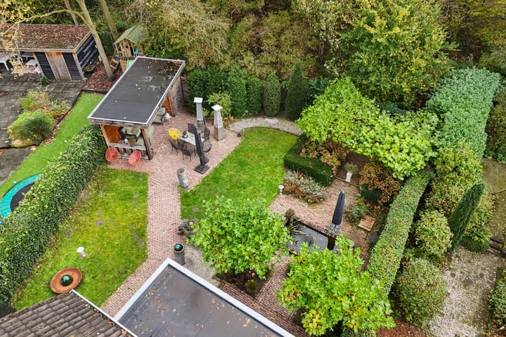 Foto 28 van Buizerd 116