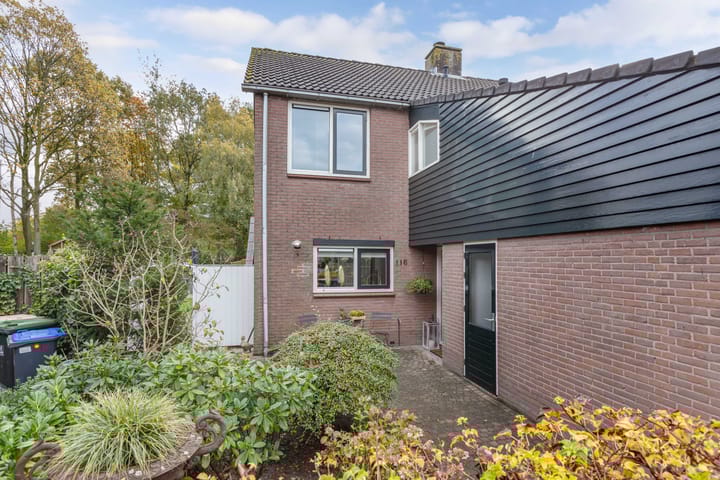 Foto 44 van Buizerd 116