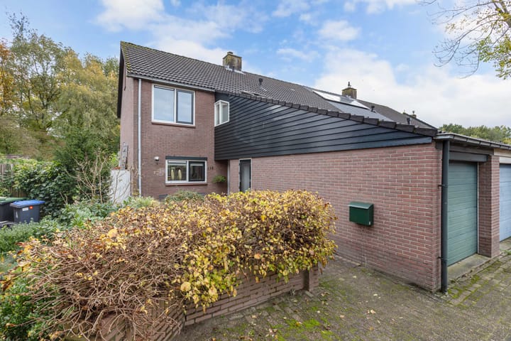 Foto 45 van Buizerd 116