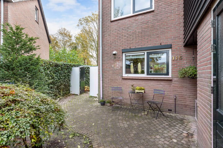 Foto 46 van Buizerd 116