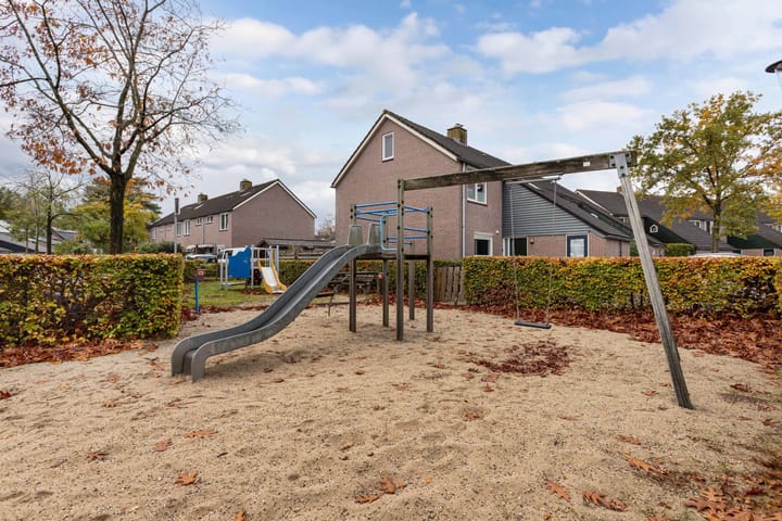 Foto 48 van Buizerd 116