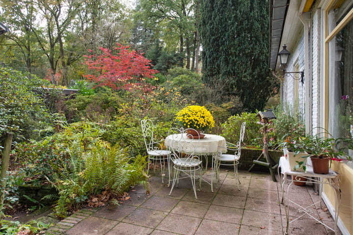 Photo 54 of Wolfhezerweg 38