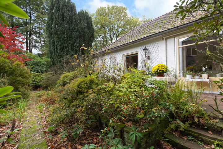 Photo 58 of Wolfhezerweg 38