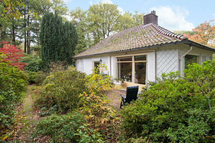 Photo 59 of Wolfhezerweg 38