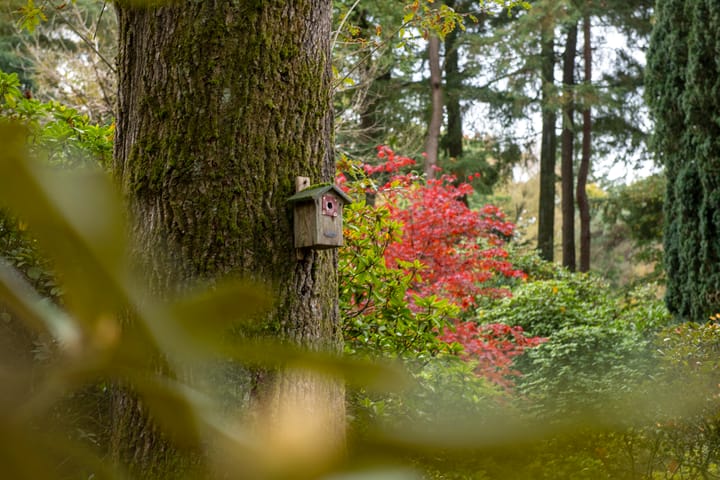 Photo 64 of Wolfhezerweg 38