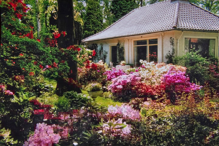 Photo 65 of Wolfhezerweg 38