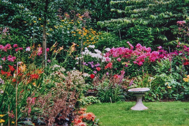 Photo 67 of Wolfhezerweg 38